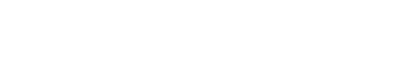 ruotes.de logo